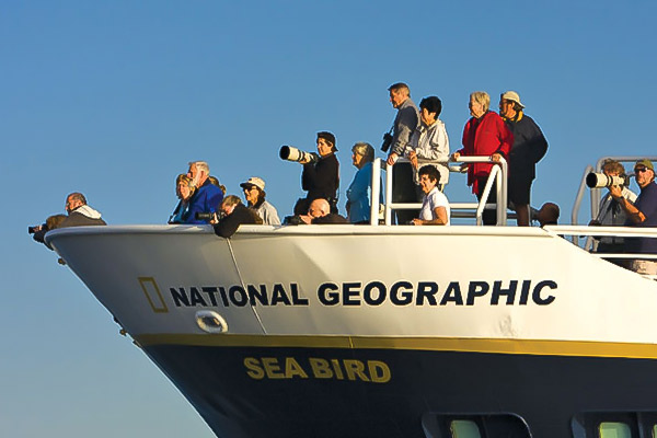 National Geographic Sea Bird