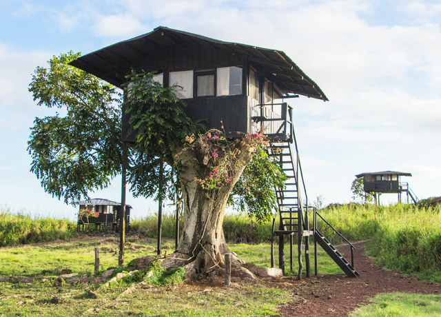 Natural Habitat's Tortoise Camp