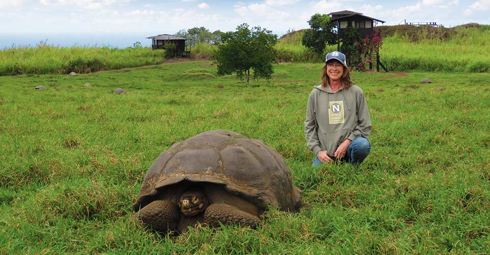 tourist with tortoise