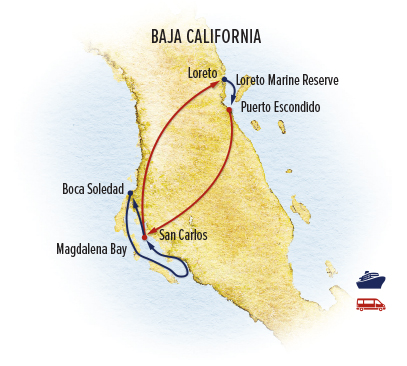 Baja Whales map