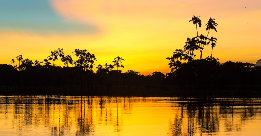 trees at lake during sunset