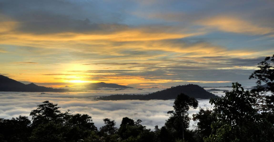 Borneo vista