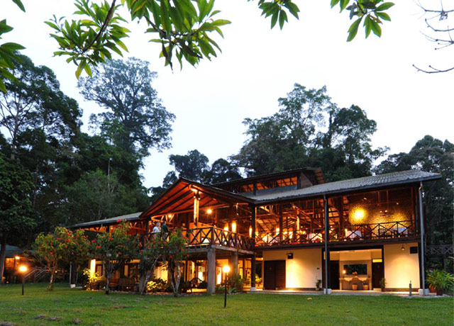 Borneo Rainforest Lodge