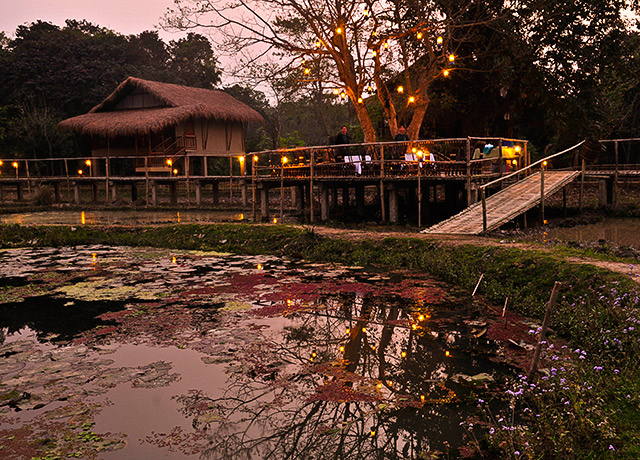 Diphlu River Lodge