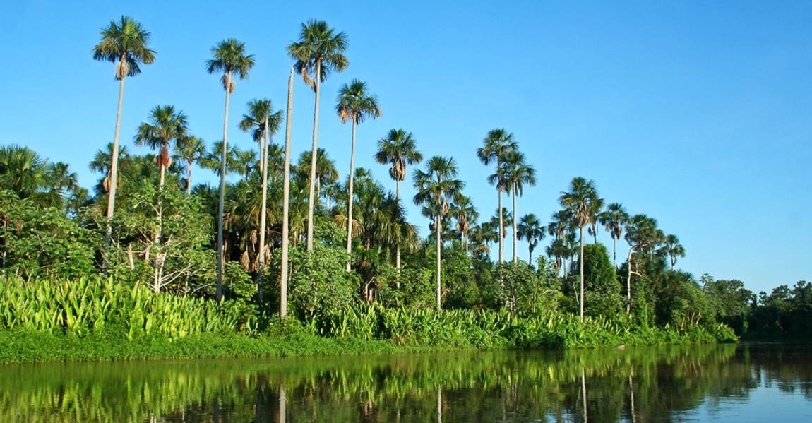 Pantanal river