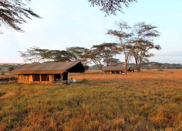 mara camp