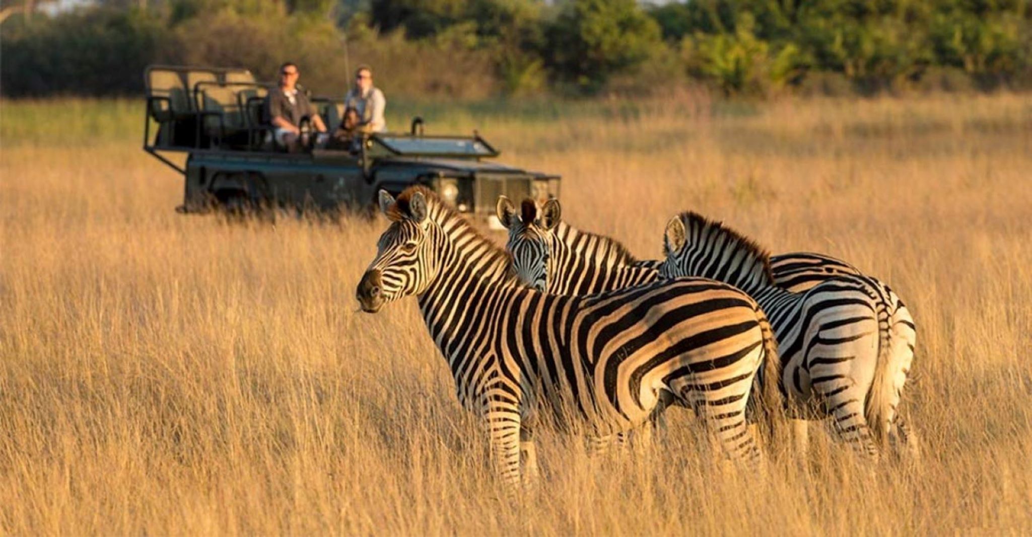 Botswana Explorer Safari Itinerary 2025  San Diego Zoo Wildlife Alliance Adventures