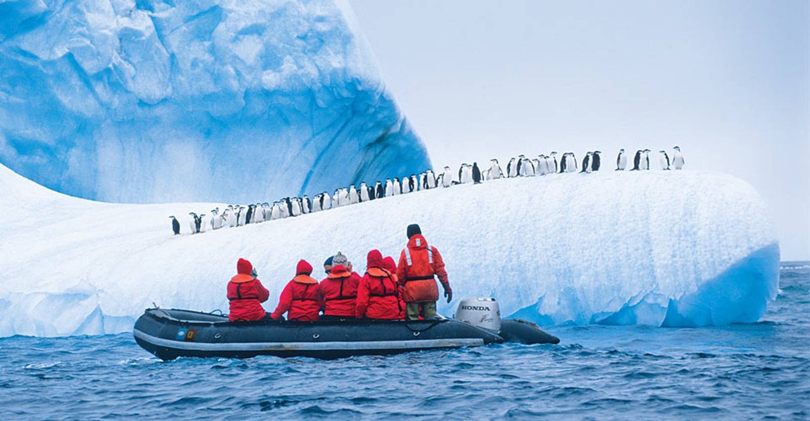 Boat Penguins