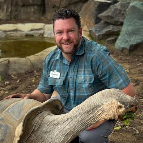 Galápagos tortoise  San Diego Zoo Wildlife Explorers