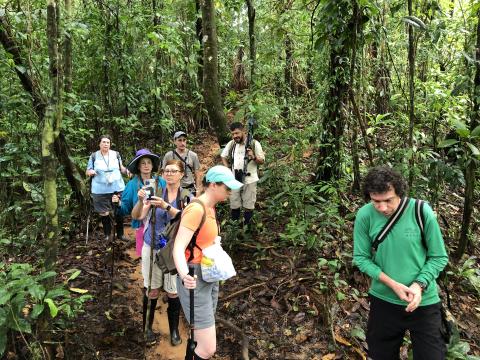 Costa Rica Hike