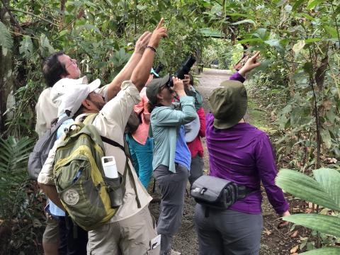 Costa Rica Group